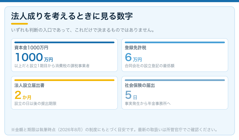 法人成りを考えるときに見る数字